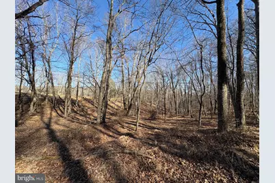 98.43 Ac Parker Hollow Road, Lost River, WV 26810 - Photo 30