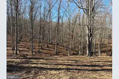 98.43 Ac Parker Hollow Road, Lost River, WV 26810 - Photo 42