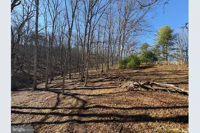 98.43 Ac Parker Hollow Road, Lost River, WV 26810 - Photo 26