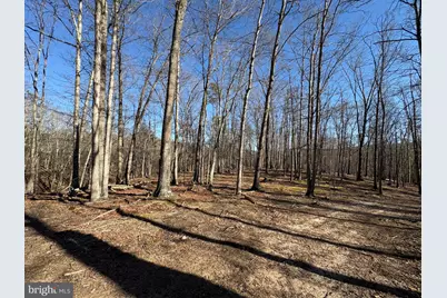 98.43 Ac Parker Hollow Road, Lost River, WV 26810 - Photo 34