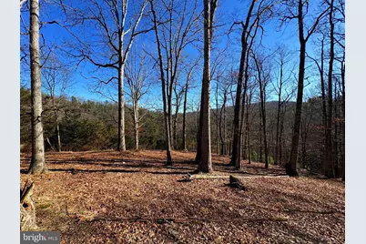 98.43 Ac Parker Hollow Road, Lost River, WV 26810 - Photo 14