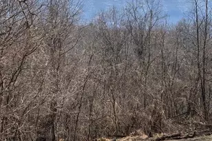 6751 High Knob Rd, Old Fields, WV 26845 - Photo 24