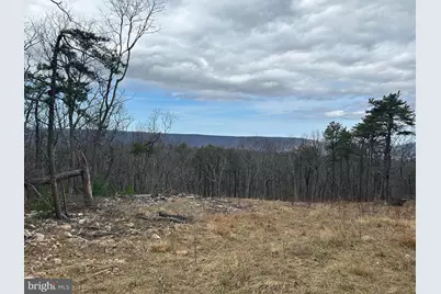 121 Scotch Pine Lane, Wardensville, WV 26851 - Photo 2