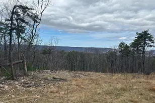 121 Scotch Pine Ln, Wardensville, WV 26851 - Photo 2