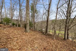 1851 Cullers Run Rd, Mathias, WV 26812 - Photo 58