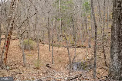 49 Mountain Top Road, Mathias, WV 26812 - Photo 60