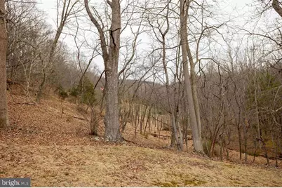 49 Mountain Top Road, Mathias, WV 26812 - Photo 54