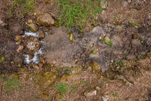 949 Dumpling Run Rd, Moorefield, WV 26836 - Photo 40