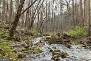 949 Dumpling Run Rd, Moorefield, WV 26836 - Photo 2