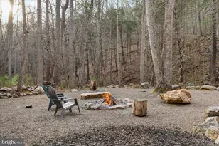 949 Dumpling Run Rd, Moorefield, WV 26836 - Photo 32