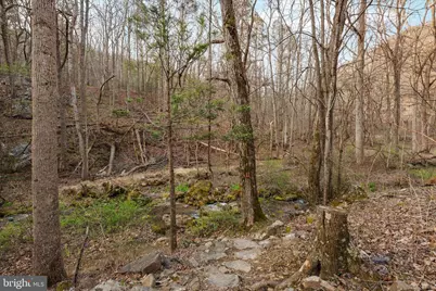 949 Dumpling Run Road, Moorefield, WV 26836 - Photo 28