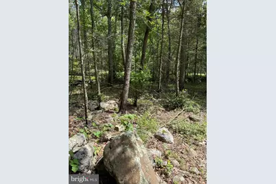 619 Moores Run Branch Road, Wardensville, WV 26851 - Photo 10