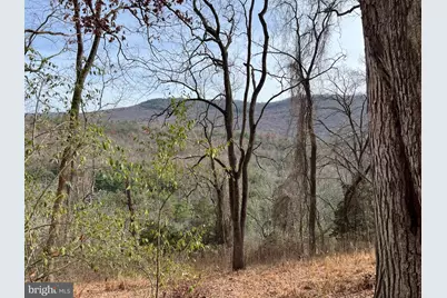 656 Wildlife Drive, Lost City, WV 26810 - Photo 68