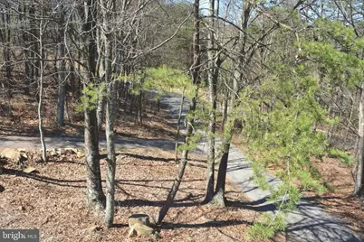 400 Locust Ridge, Moorefield, WV 26836 - Photo 76