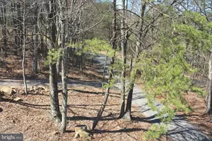 400 Locust Ridge, Moorefield, WV 26836 - Photo 76