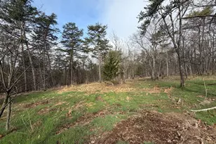 401 Charles Way, Purgitsville, WV 26845 - Photo 6