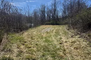 18250 S Fork Rd, Moorefield, WV 26836 - Photo 60