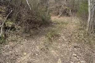 18250 S Fork Rd, Moorefield, WV 26836 - Photo 64