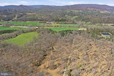56 Acres Falcon Road, Mathias, WV 26812 - Photo 14