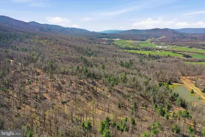 56 Acres Falcon Road, Mathias, WV 26812 - Photo 6