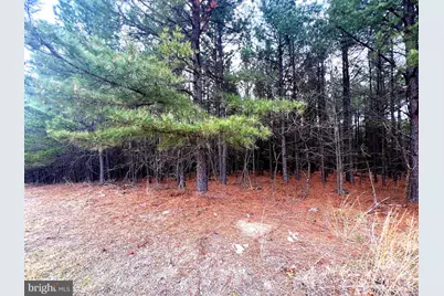 85 Trough View Road, Moorefield, WV 26836 - Photo 26