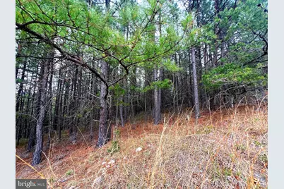 85 Trough View Road, Moorefield, WV 26836 - Photo 22