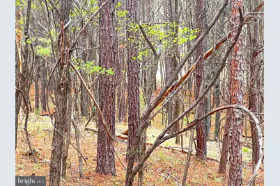 85 Trough View Road, Moorefield, WV 26836 - Photo 20