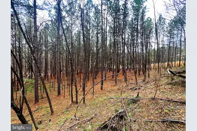 85 Trough View Road, Moorefield, WV 26836 - Photo 16