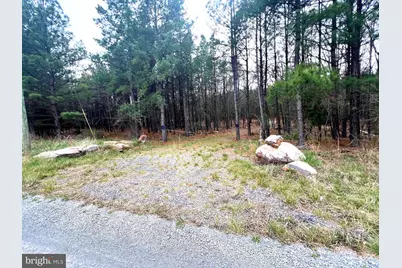 85 Trough View Road, Moorefield, WV 26836 - Photo 6