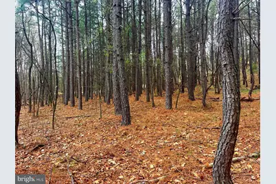 85 Trough View Road, Moorefield, WV 26836 - Photo 8