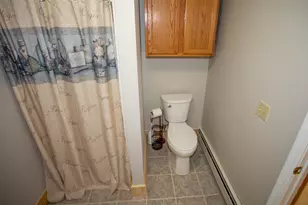 161 Coyote Run Rd, Mathias, WV 26812 - Photo 72