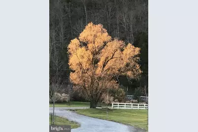 41 Farmhouse Lane, Lost City, WV 26810 - Photo 98