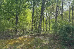 216 Walnut Dr, Moorefield, WV 26836 - Photo 4