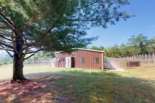 4038 Mount Olive, Rio, WV 26755 - Photo 12