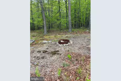 64 Trout Pass Park Road, Mathias, WV 26812 - Photo 8