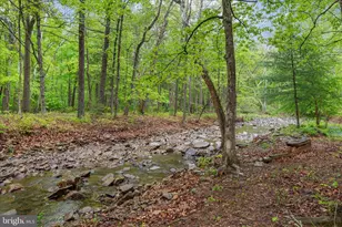 13581 Ford Hill Rd, Rio, WV 26755 - Photo 46