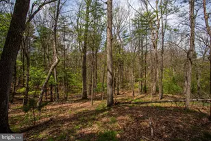 324 Mountaintop Dr, Mathias, WV 26812 - Photo 26