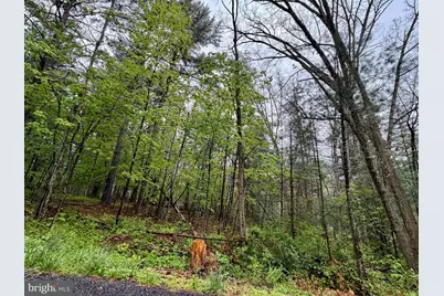 Lots 1 & 2 Trout Run Road, Wardensville, WV 26851 - Photo 2