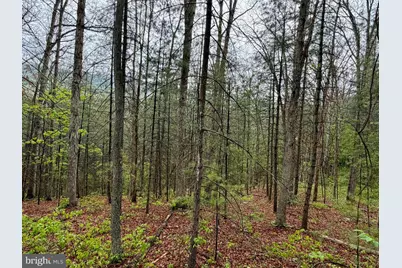 Lots 1 & 2 Trout Run Road, Wardensville, WV 26851 - Photo 4