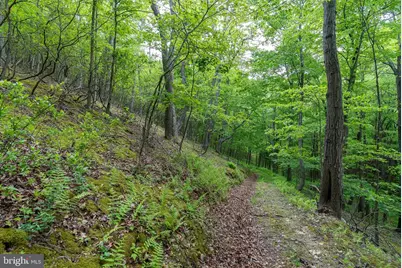 2598 Mountain View Road, Moorefield, WV 26836 - Photo 78