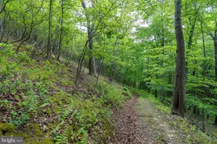 2598 Mountain View Rd, Moorefield, WV 26836 - Photo 78
