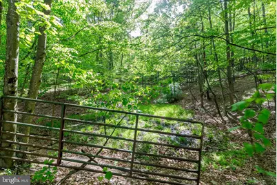 2598 Mountain View Road, Moorefield, WV 26836 - Photo 74