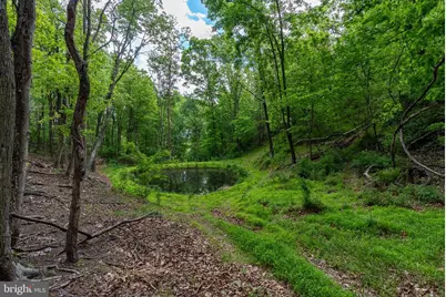 2598 Mountain View Road, Moorefield, WV 26836 - Photo 84