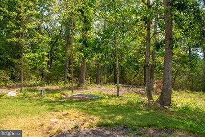 792 Forest Glen Drive, Moorefield, WV 26836 - Photo 118