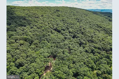 Lot 23 Cove Creek, Baker, WV 26801 - Photo 10