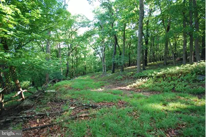 Lot 23 Cove Creek, Baker, WV 26801 - Photo 32