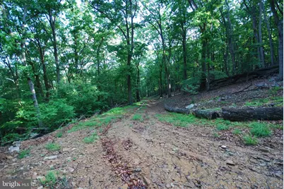 Lot 23 Cove Creek, Baker, WV 26801 - Photo 38
