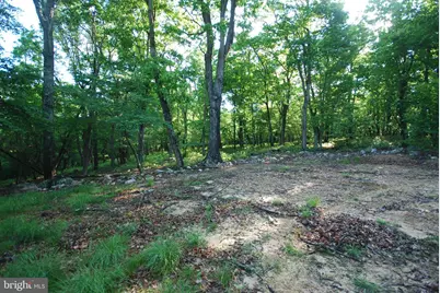 Lot 23 Cove Creek, Baker, WV 26801 - Photo 26