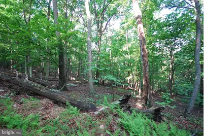 Lot 23 Cove Creek, Baker, WV 26801 - Photo 34