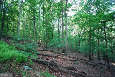 Lot 23 Cove Creek, Baker, WV 26801 - Photo 40